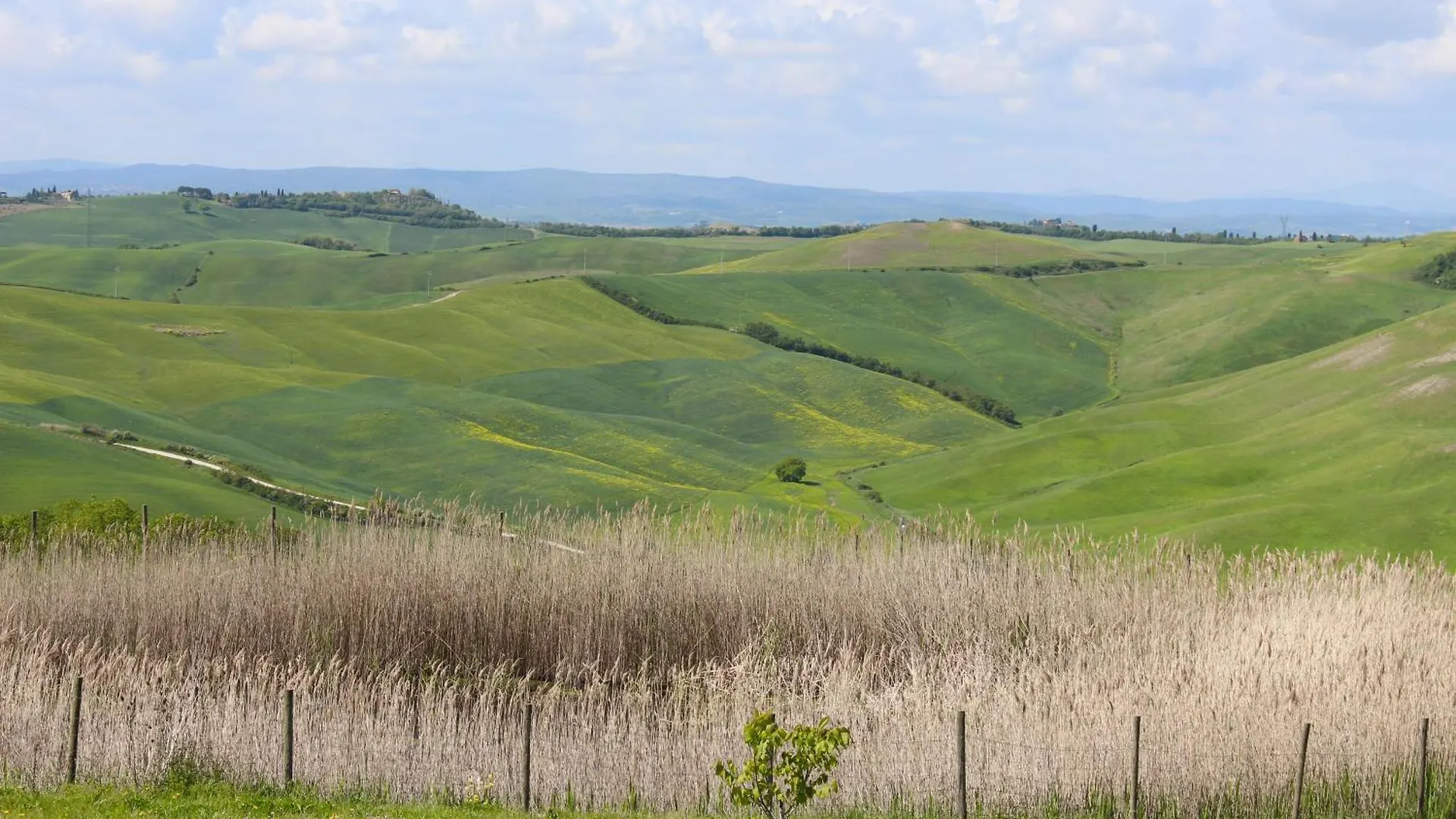Il Nido Di Giulia Villa Asciano Italy